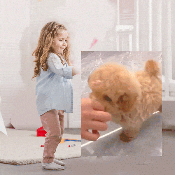 Chiot Robot Interactif